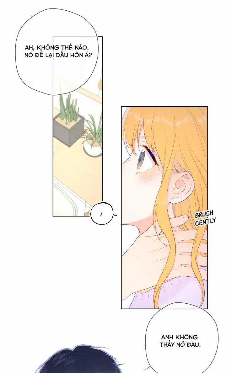 Ngôi Sao Cho Tôi Chapter 103 trang 17