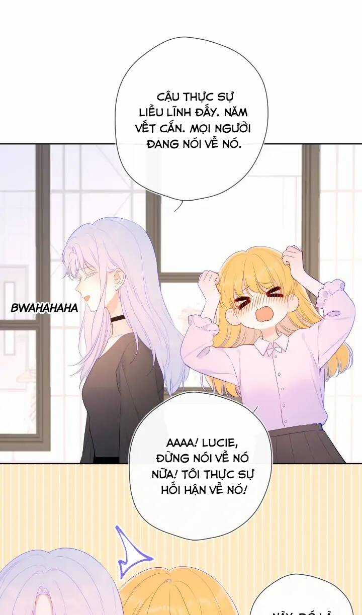 Ngôi Sao Cho Tôi Chapter 104 trang 11