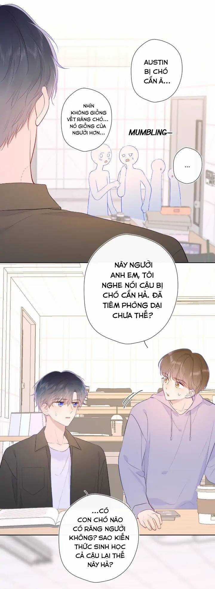 Ngôi Sao Cho Tôi Chapter 104 trang 3