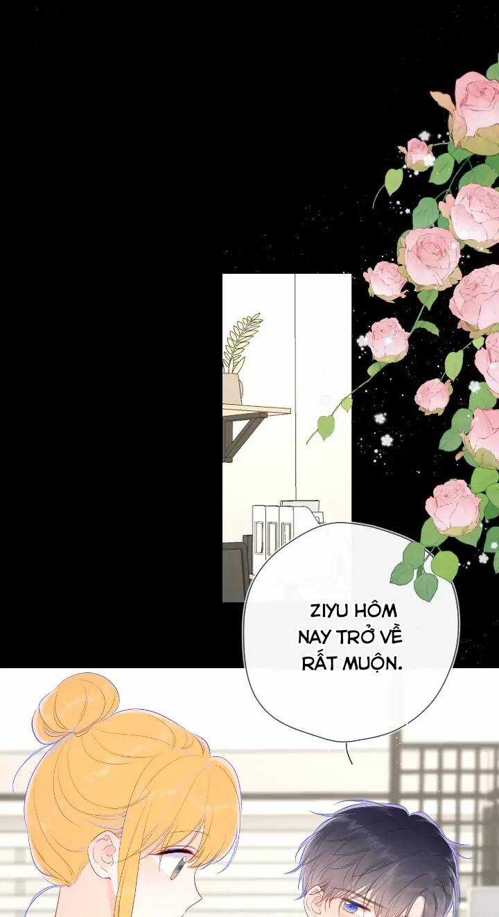 Ngôi Sao Cho Tôi Chapter 106 trang 27