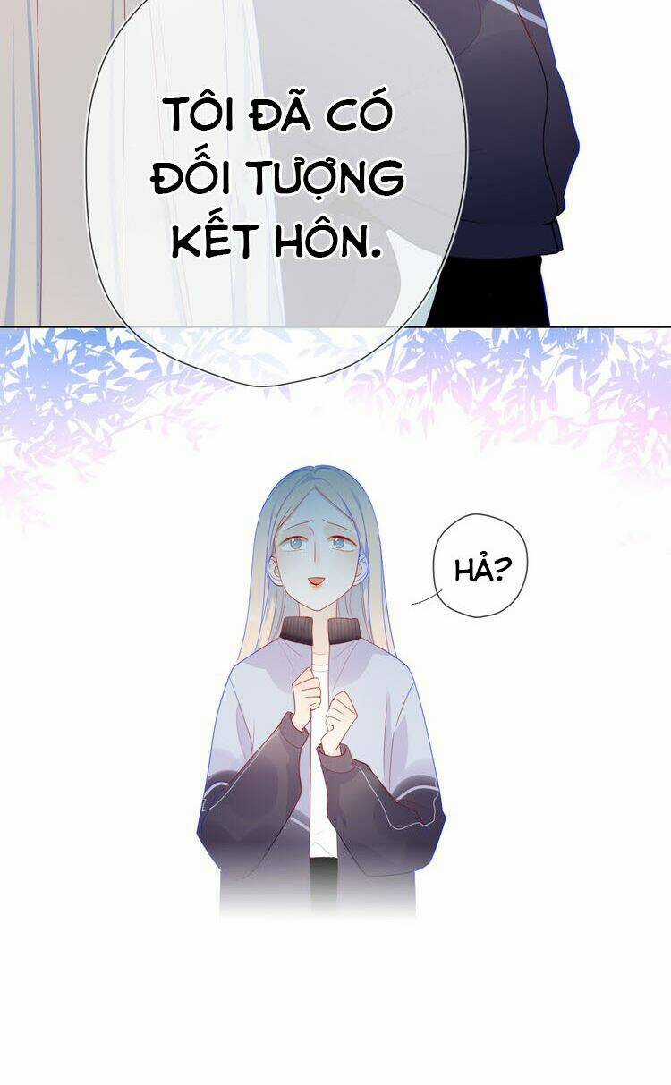 Ngôi Sao Cho Tôi Chapter 11 trang 5