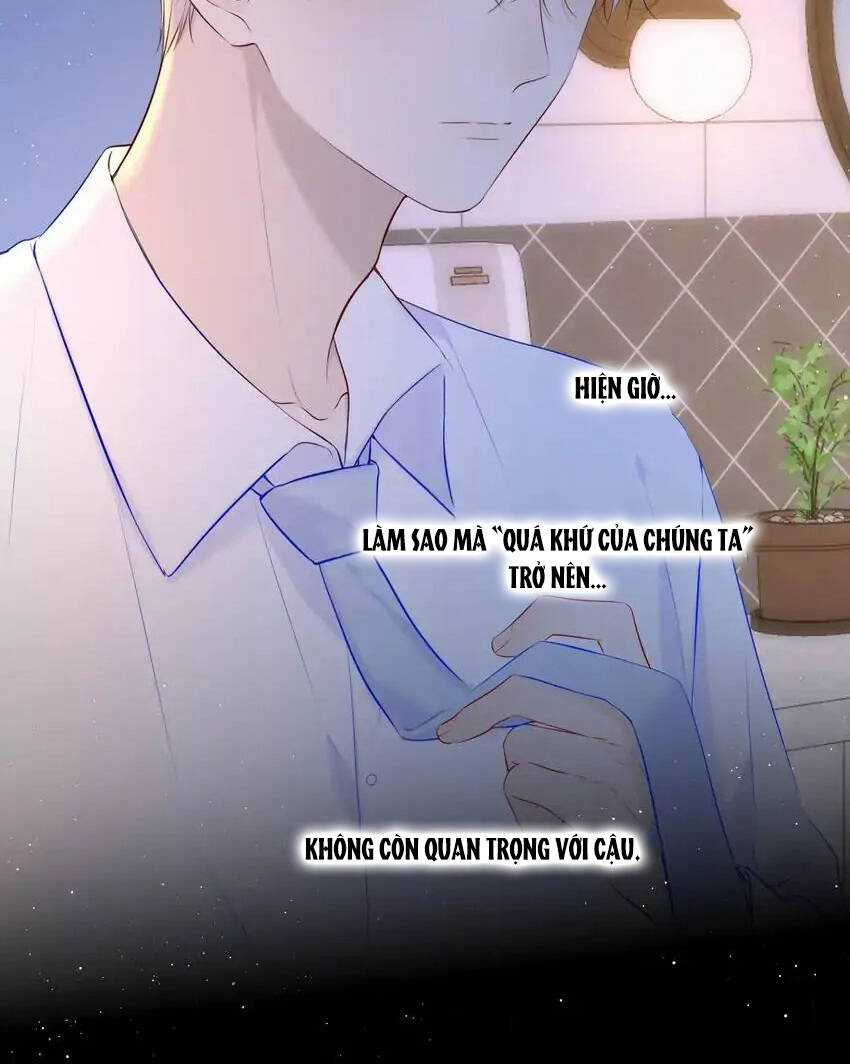 Ngôi Sao Cho Tôi Chapter 113 trang 6