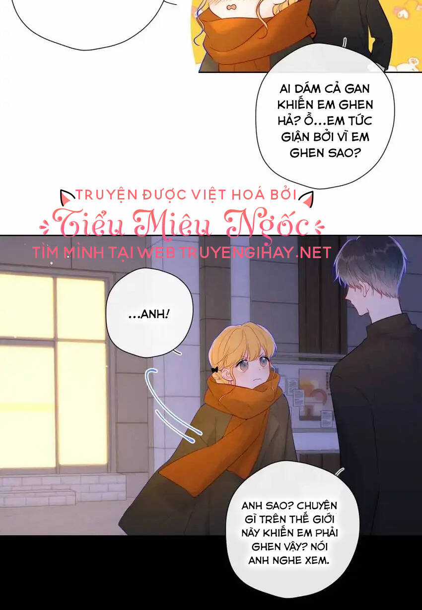 Ngôi Sao Cho Tôi Chapter 114 trang 11