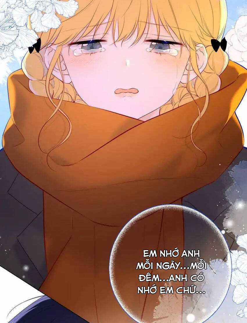 Ngôi Sao Cho Tôi Chapter 114 trang 16