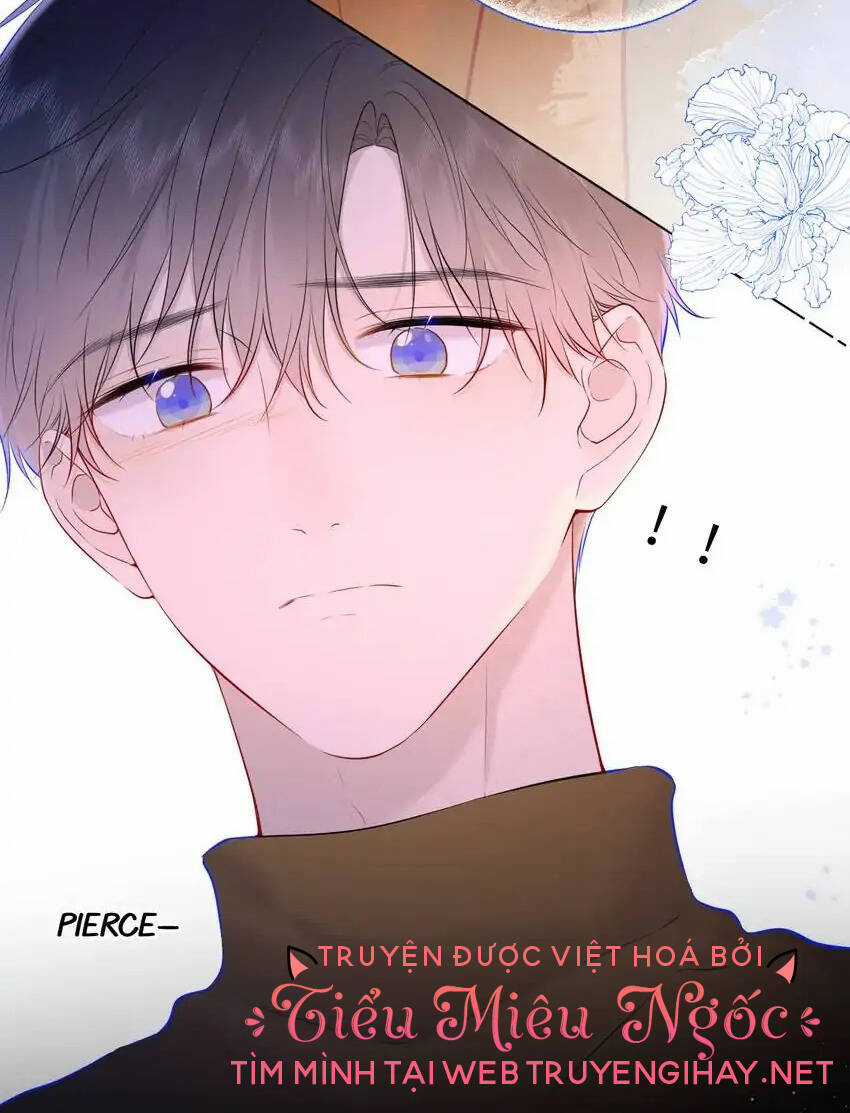 Ngôi Sao Cho Tôi Chapter 114 trang 17