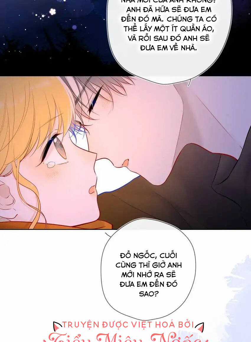 Ngôi Sao Cho Tôi Chapter 114 trang 22