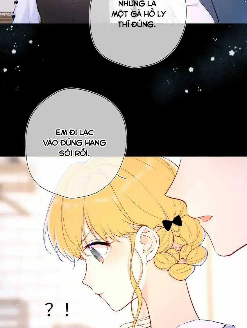 Ngôi Sao Cho Tôi Chapter 115 trang 11