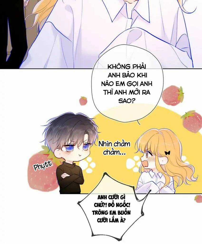 Ngôi Sao Cho Tôi Chapter 115 trang 18