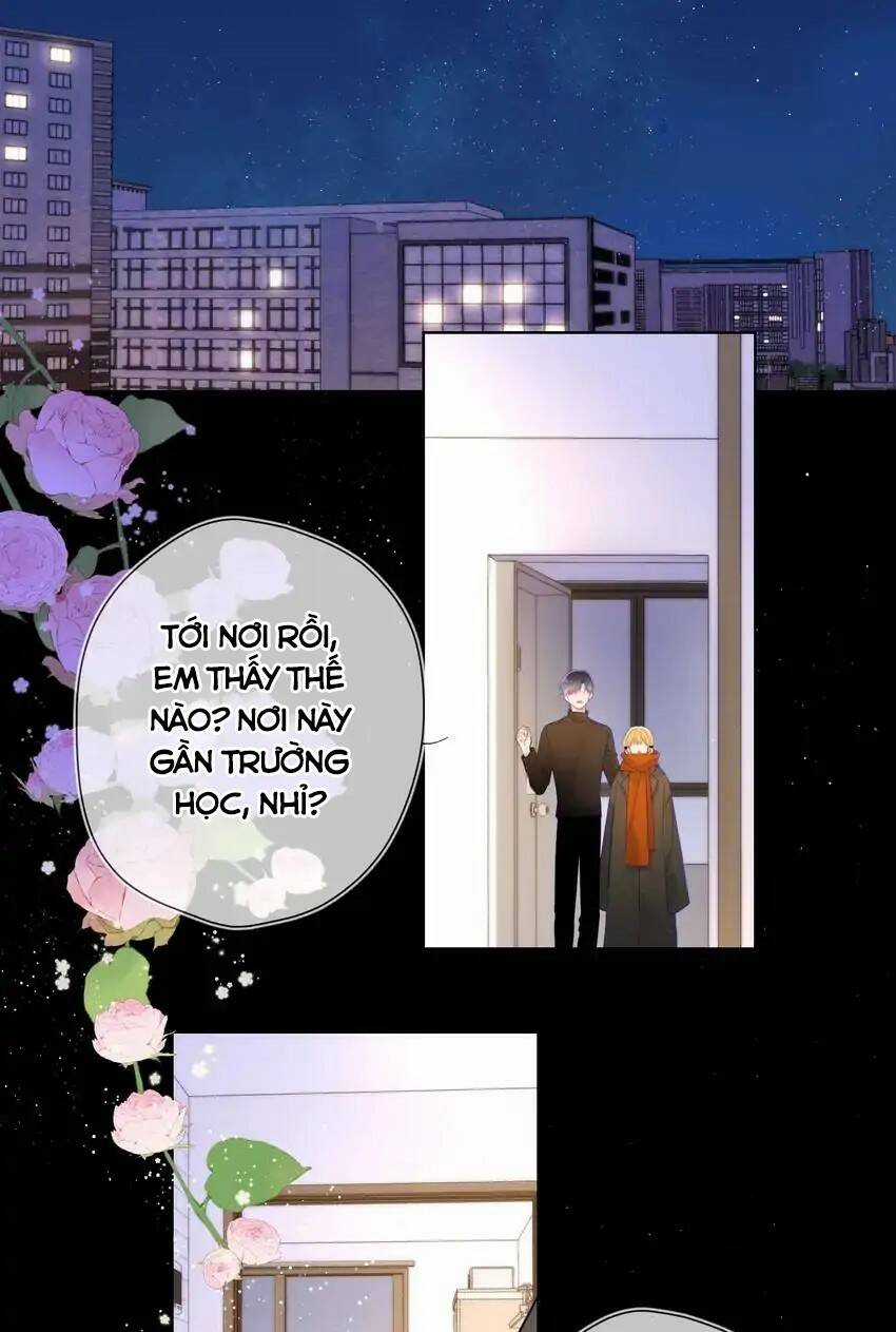 Ngôi Sao Cho Tôi Chapter 115 trang 2