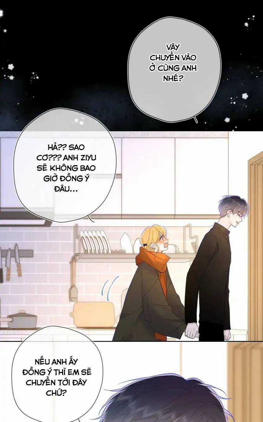 Ngôi Sao Cho Tôi Chapter 115 trang 4