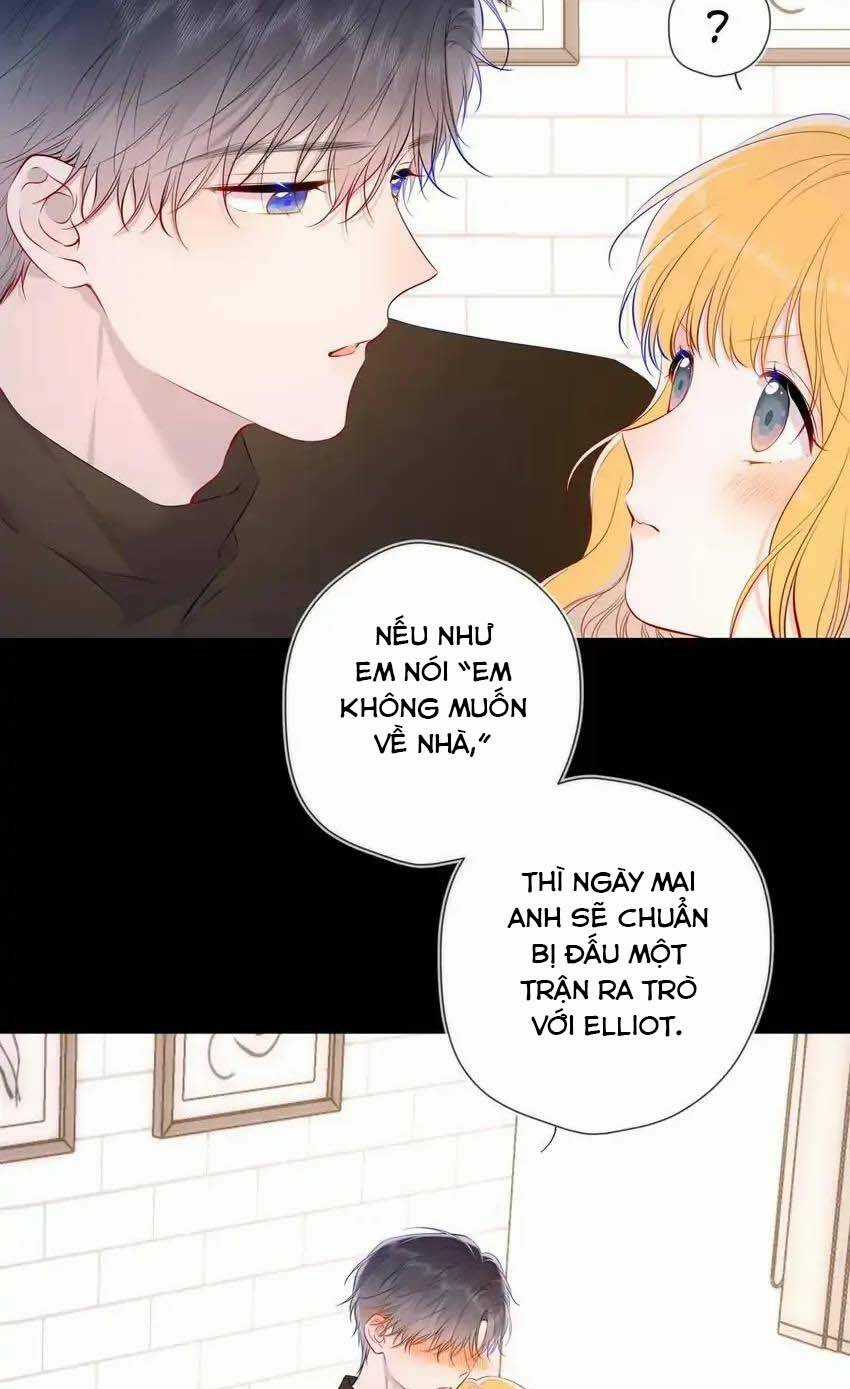 Ngôi Sao Cho Tôi Chapter 116 trang 3