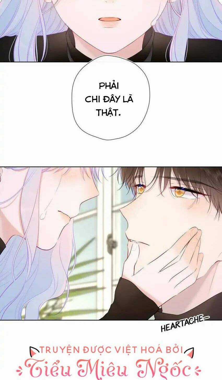 Ngôi Sao Cho Tôi Chapter 120 trang 11