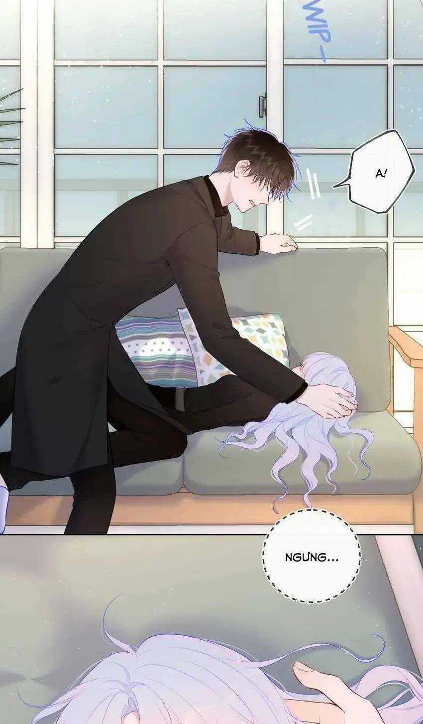 Ngôi Sao Cho Tôi Chapter 120 trang 14