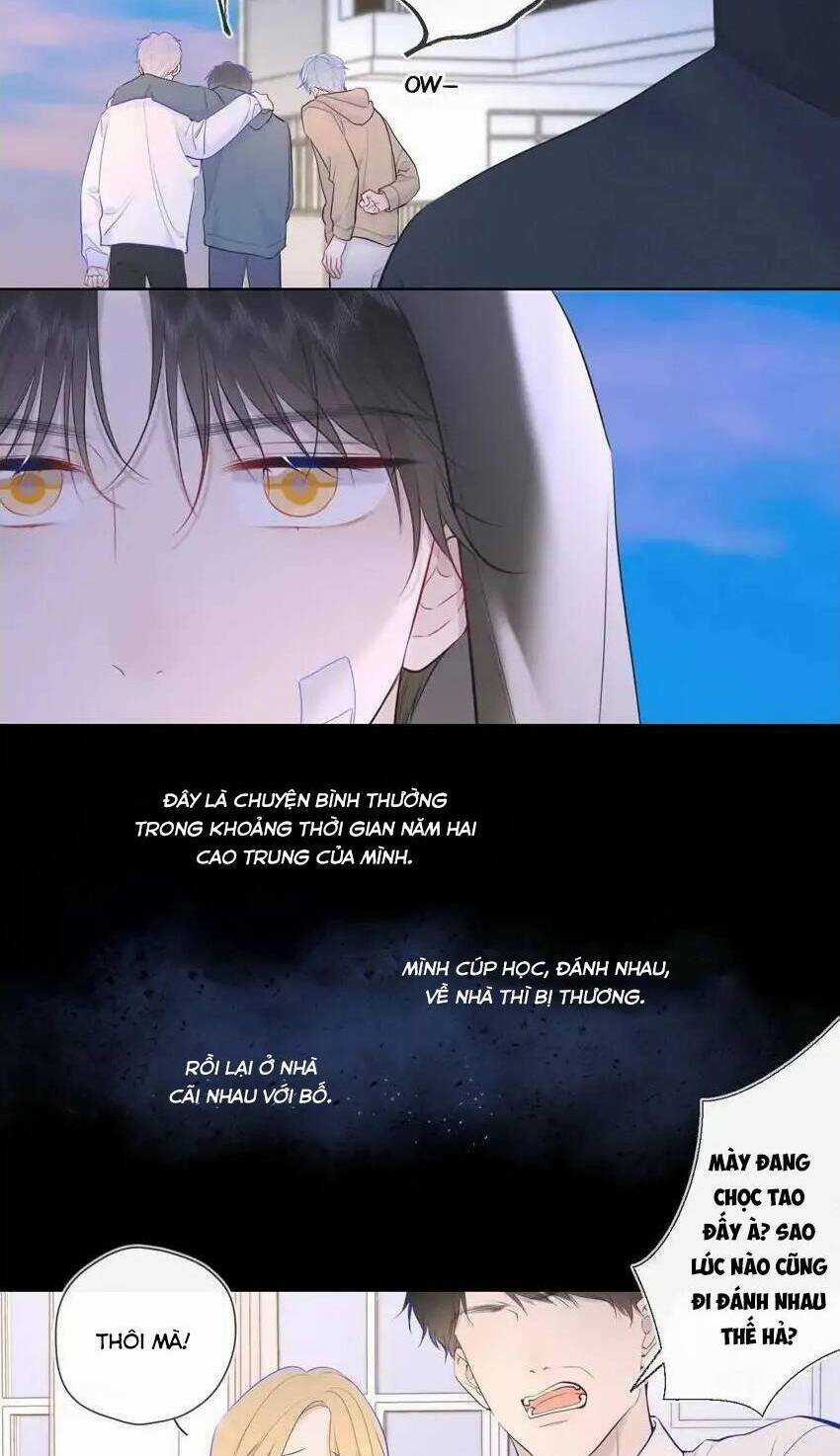 Ngôi Sao Cho Tôi Chapter 120 trang 20