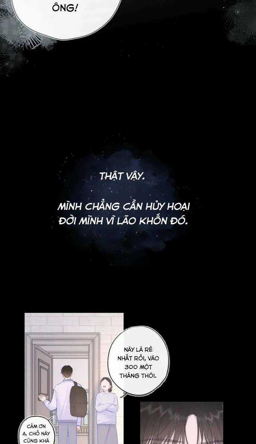 Ngôi Sao Cho Tôi Chapter 120 trang 30