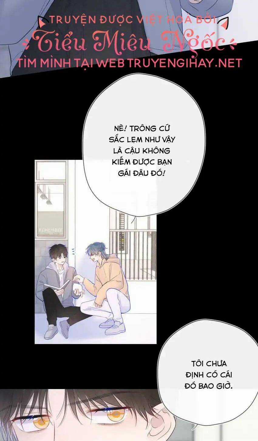 Ngôi Sao Cho Tôi Chapter 120 trang 33