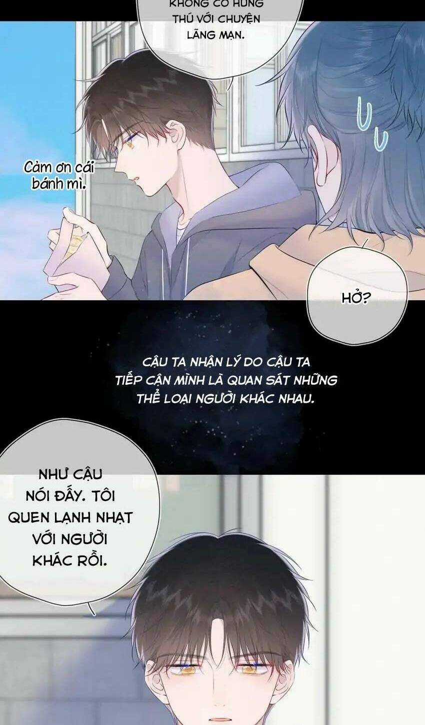 Ngôi Sao Cho Tôi Chapter 120 trang 35