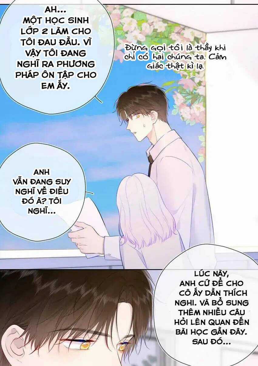 Ngôi Sao Cho Tôi Chapter 121 trang 17