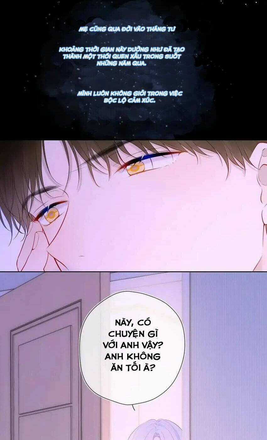 Ngôi Sao Cho Tôi Chapter 121 trang 22