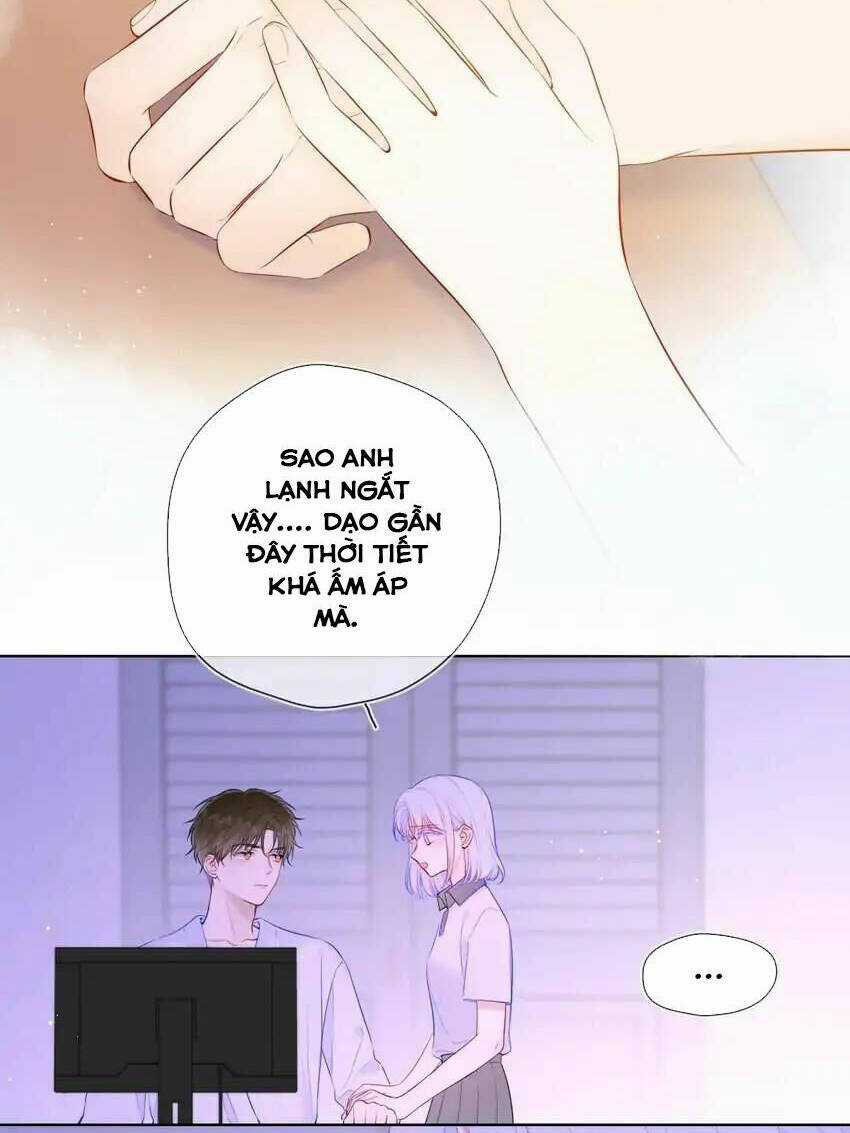 Ngôi Sao Cho Tôi Chapter 121 trang 25