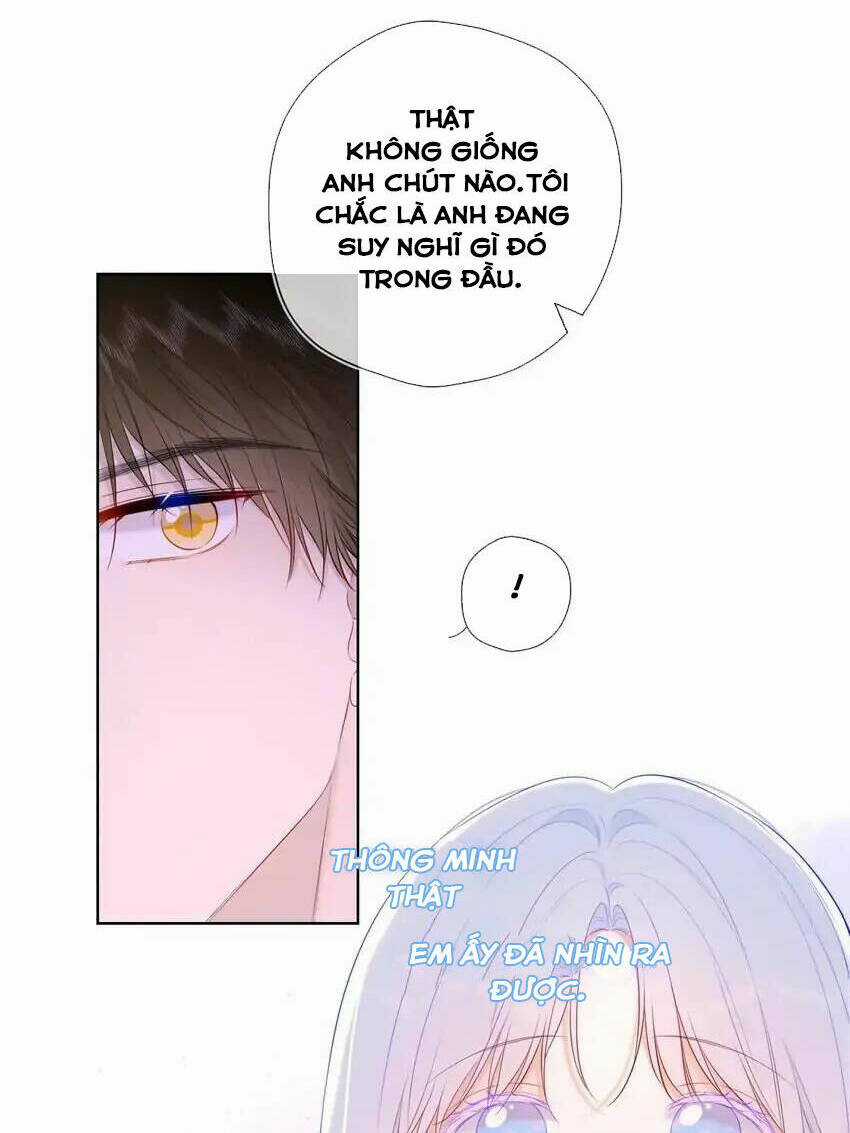 Ngôi Sao Cho Tôi Chapter 121 trang 27