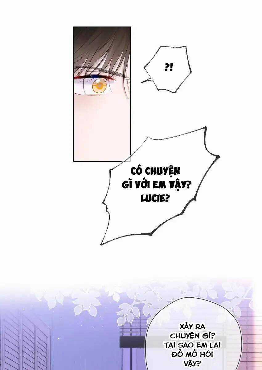 Ngôi Sao Cho Tôi Chapter 121 trang 36