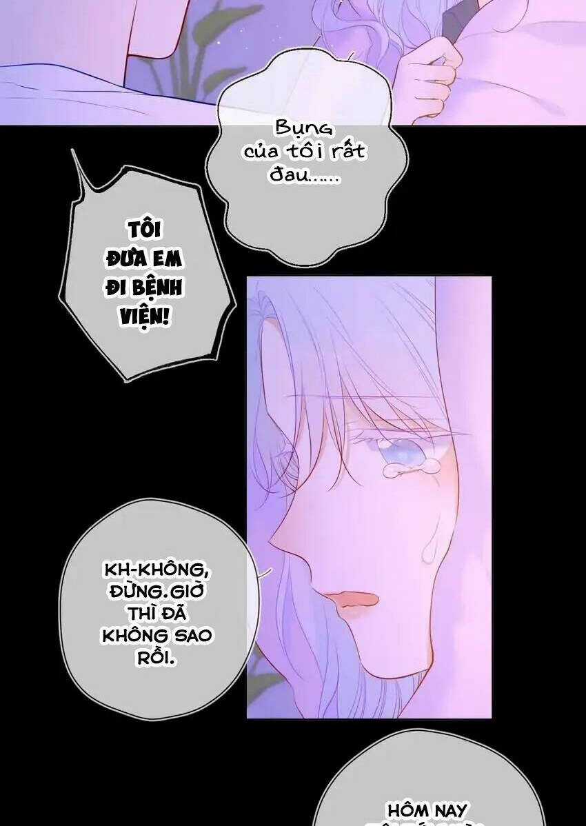 Ngôi Sao Cho Tôi Chapter 121 trang 39