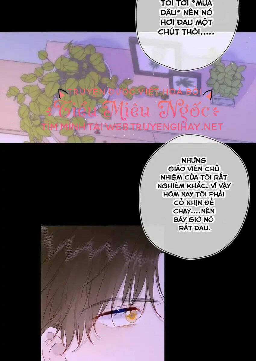 Ngôi Sao Cho Tôi Chapter 121 trang 40