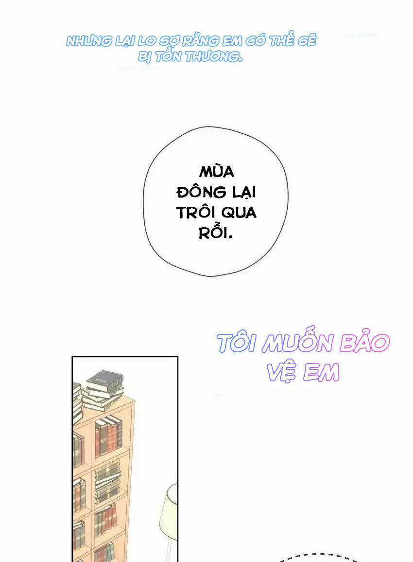 Ngôi Sao Cho Tôi Chapter 121 trang 50