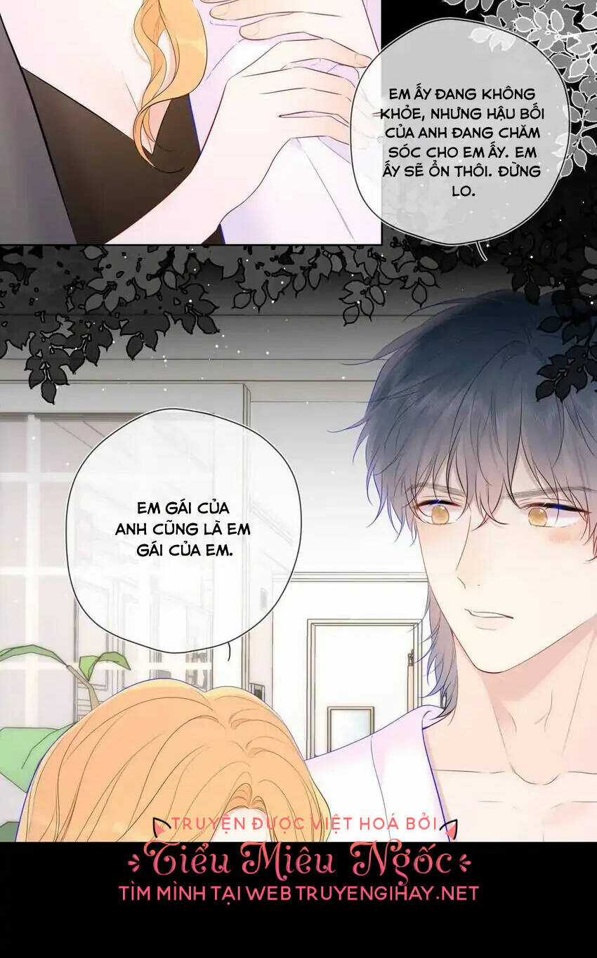 Ngôi Sao Cho Tôi Chapter 122 trang 14