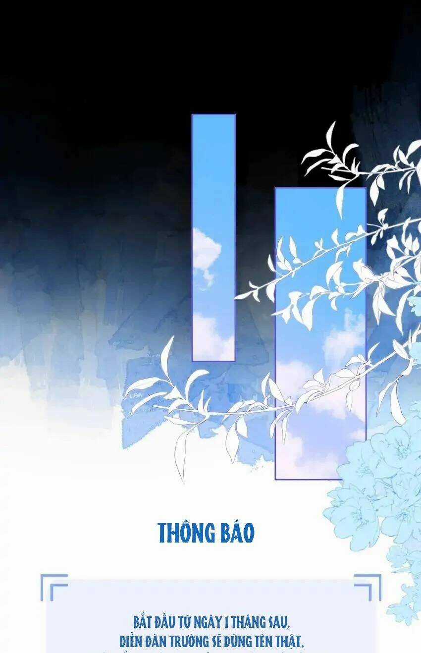 Ngôi Sao Cho Tôi Chapter 123 trang 12