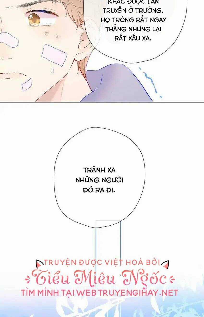 Ngôi Sao Cho Tôi Chapter 123 trang 19