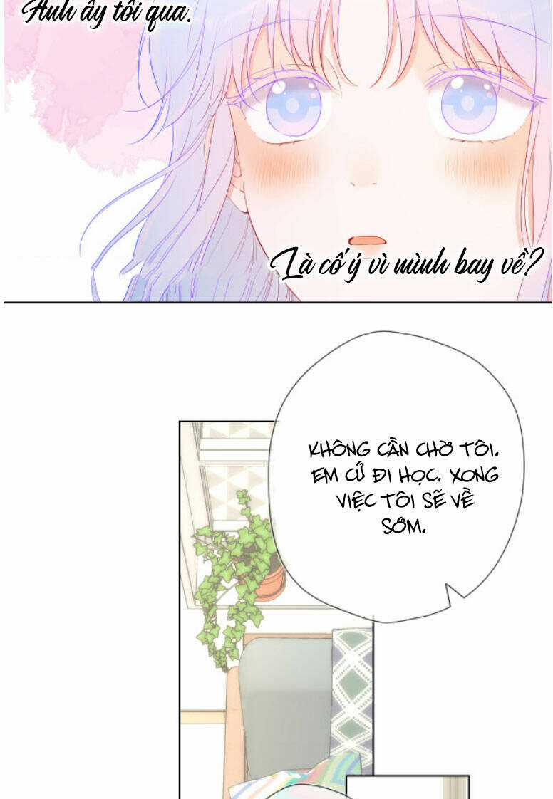 Ngôi Sao Cho Tôi Chapter 124 trang 31