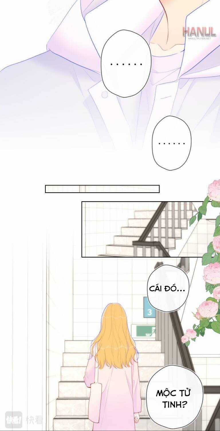 Ngôi Sao Cho Tôi Chapter 125 trang 14