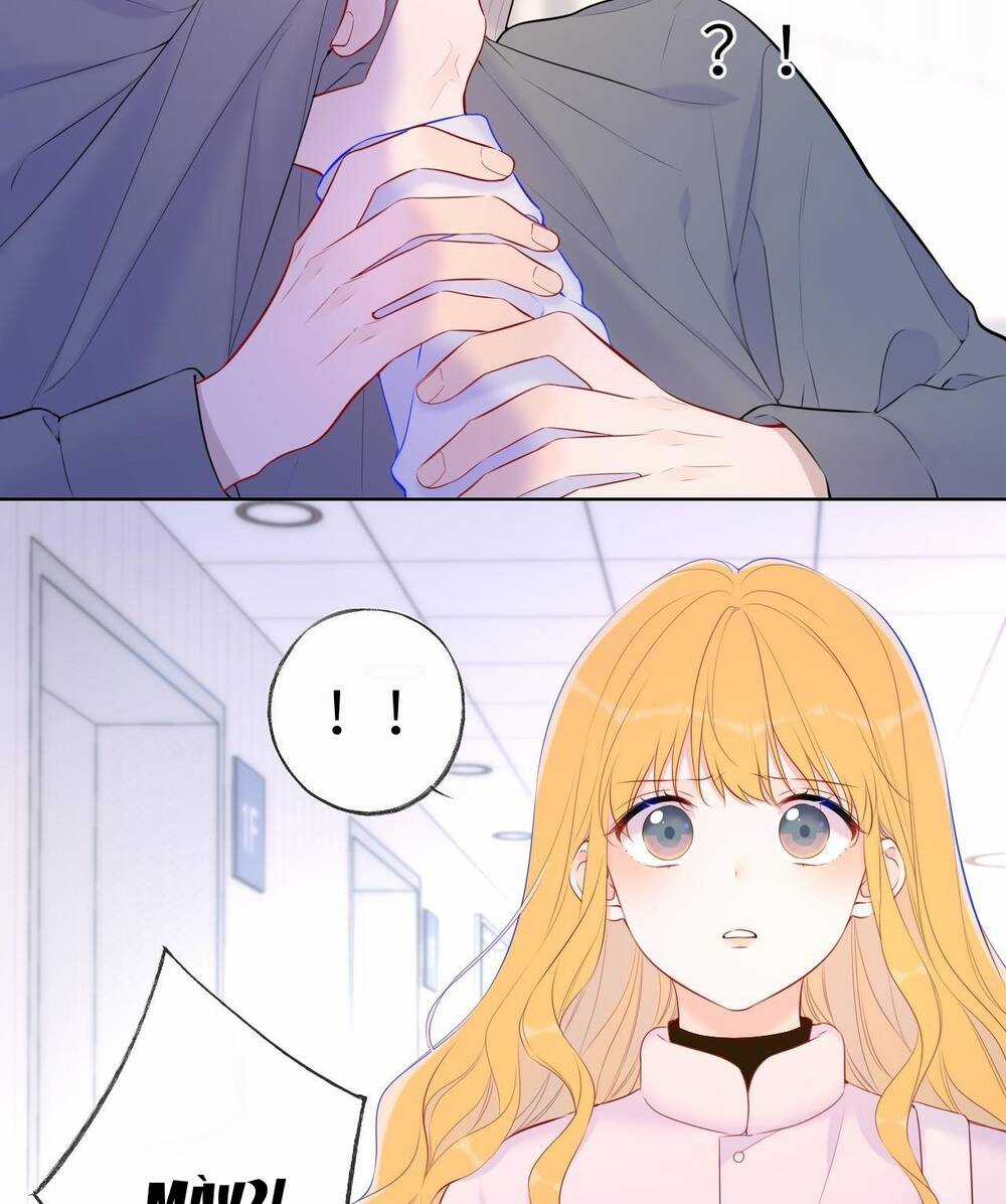 Ngôi Sao Cho Tôi Chapter 126 trang 3