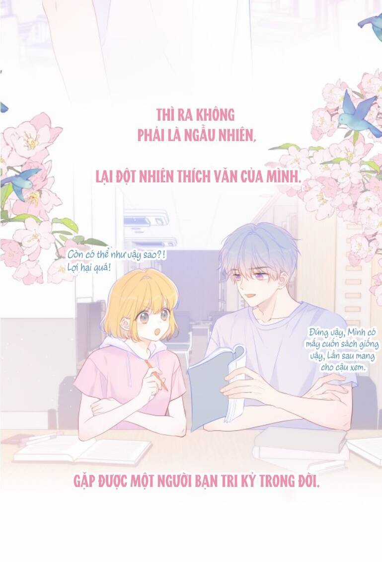 Ngôi Sao Cho Tôi Chapter 127 trang 3