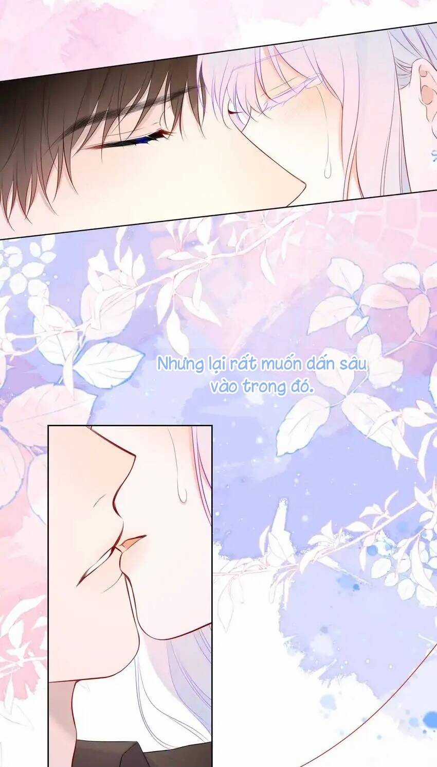 Ngôi Sao Cho Tôi Chapter 131 trang 22