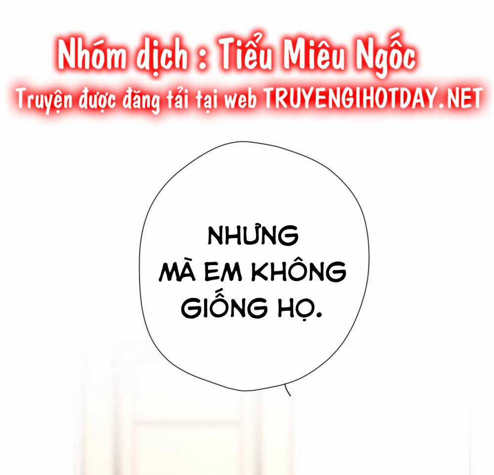 Ngôi Sao Cho Tôi Chapter 131 trang 4