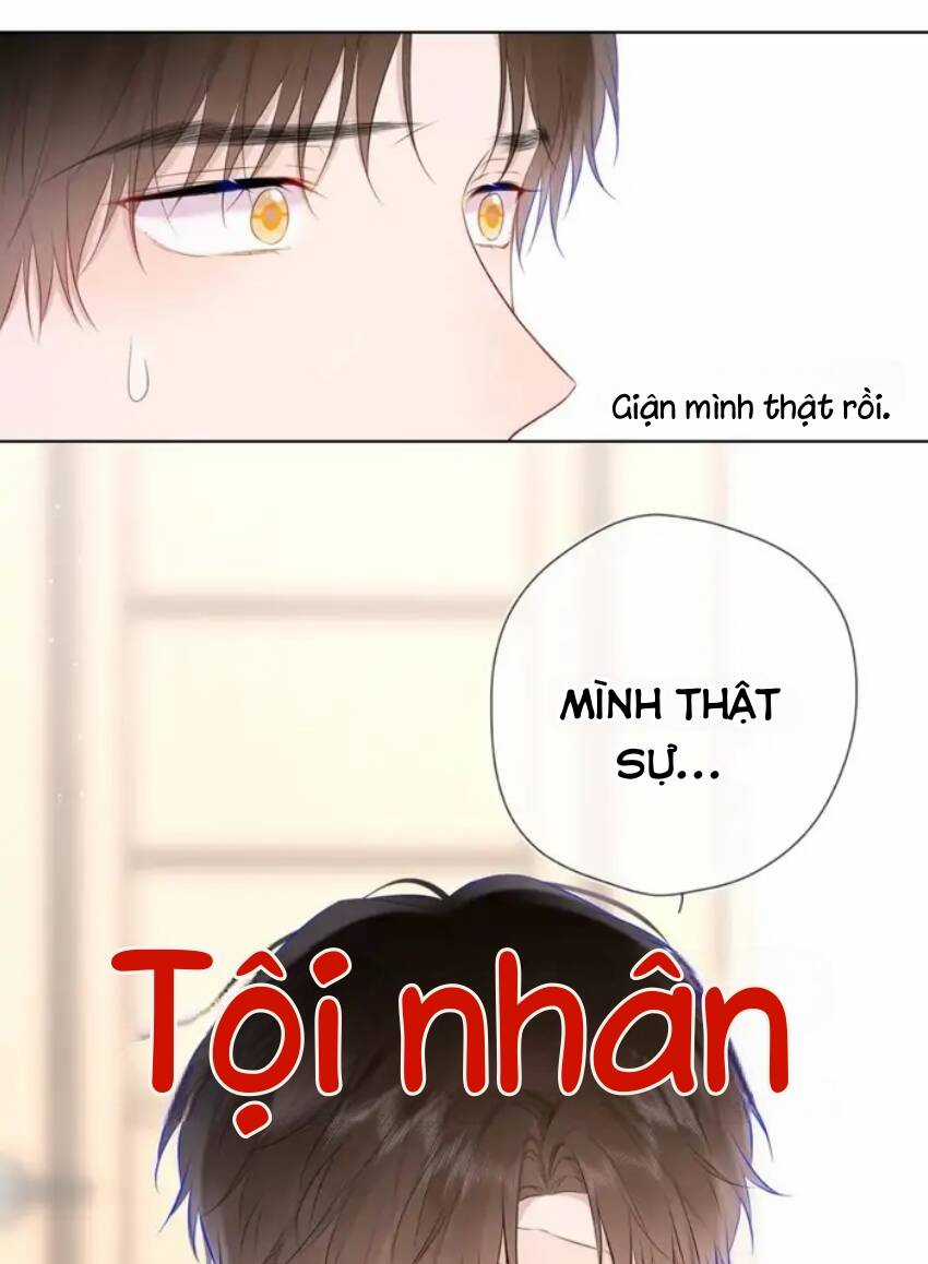 Ngôi Sao Cho Tôi Chapter 131 trang 49