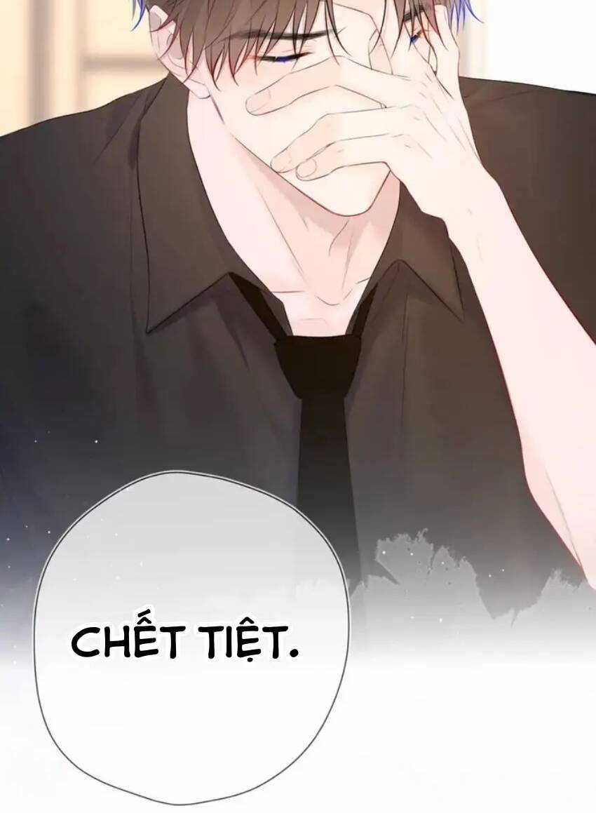 Ngôi Sao Cho Tôi Chapter 131 trang 50