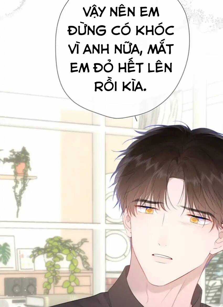 Ngôi Sao Cho Tôi Chapter 131 trang 6