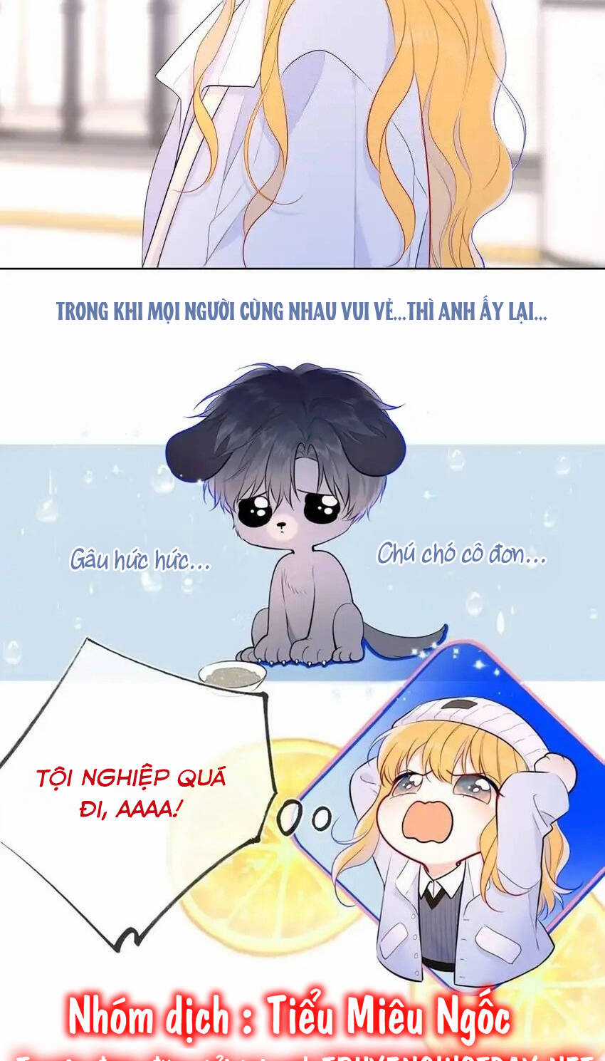 Ngôi Sao Cho Tôi Chapter 132 trang 20