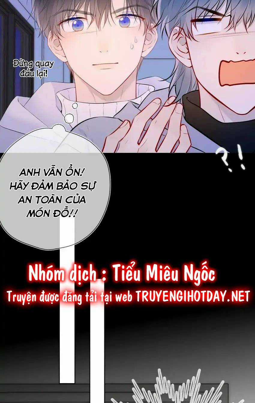 Ngôi Sao Cho Tôi Chapter 135 trang 13