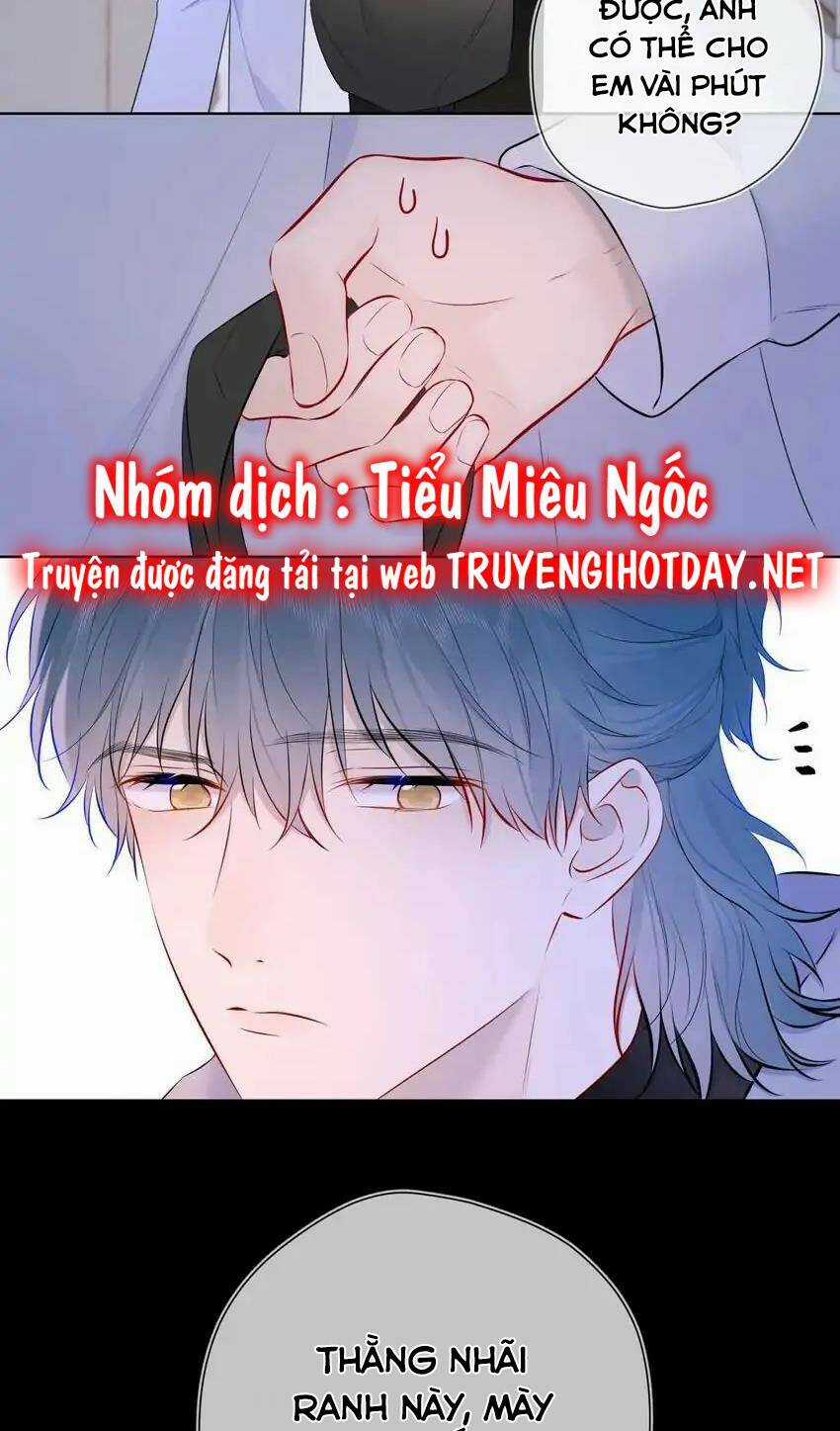 Ngôi Sao Cho Tôi Chapter 135 trang 7