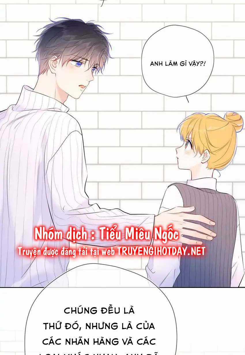 Ngôi Sao Cho Tôi Chapter 136 trang 20