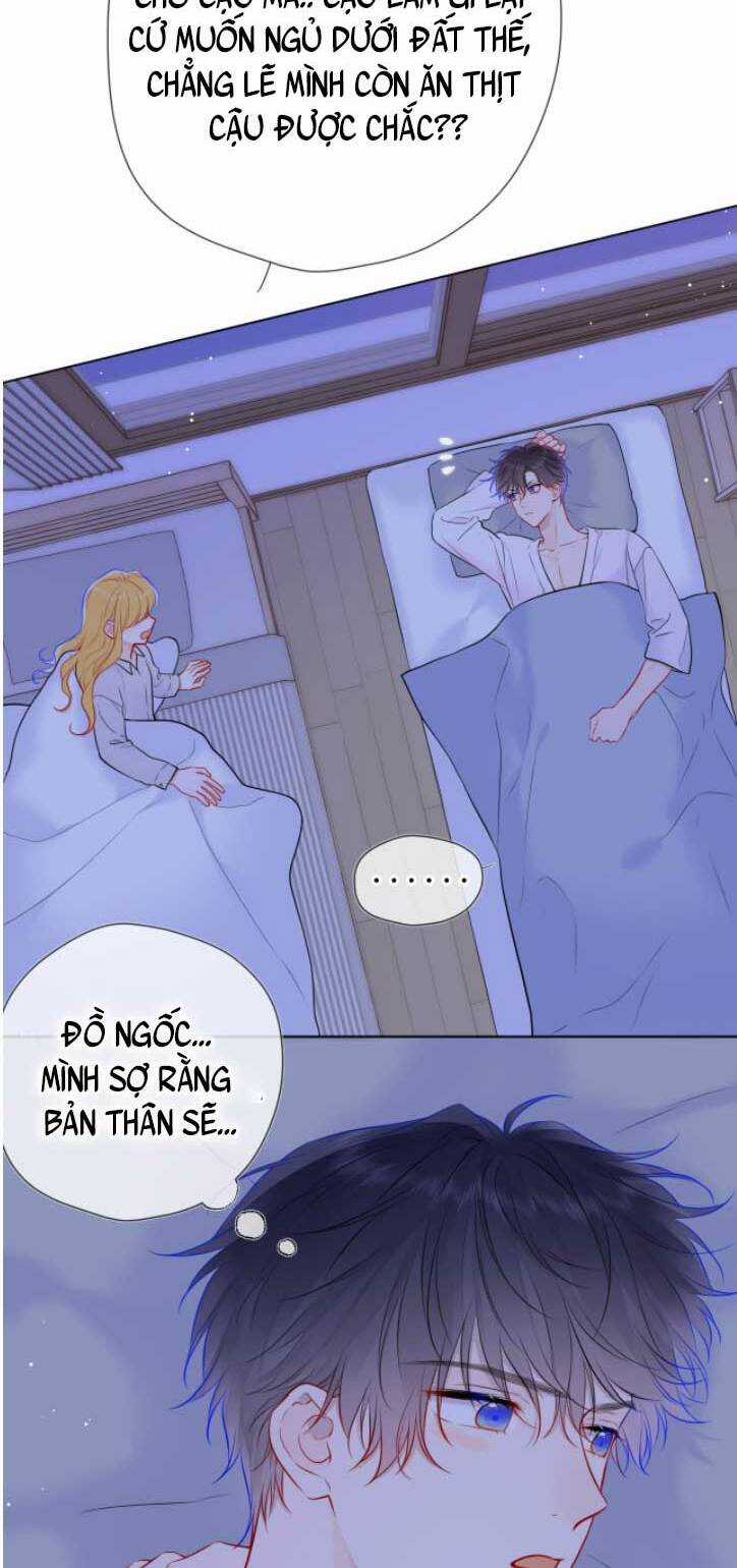 Ngôi Sao Cho Tôi Chapter 137 trang 14