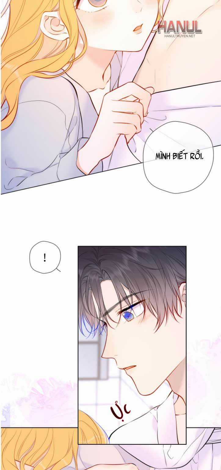 Ngôi Sao Cho Tôi Chapter 137 trang 3