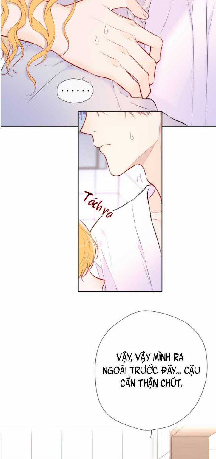 Ngôi Sao Cho Tôi Chapter 137 trang 4