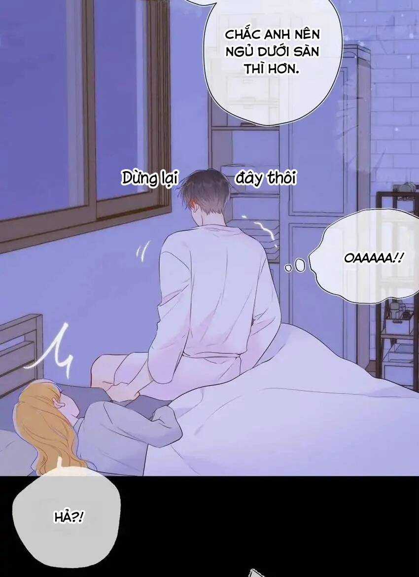 Ngôi Sao Cho Tôi Chapter 138 trang 15