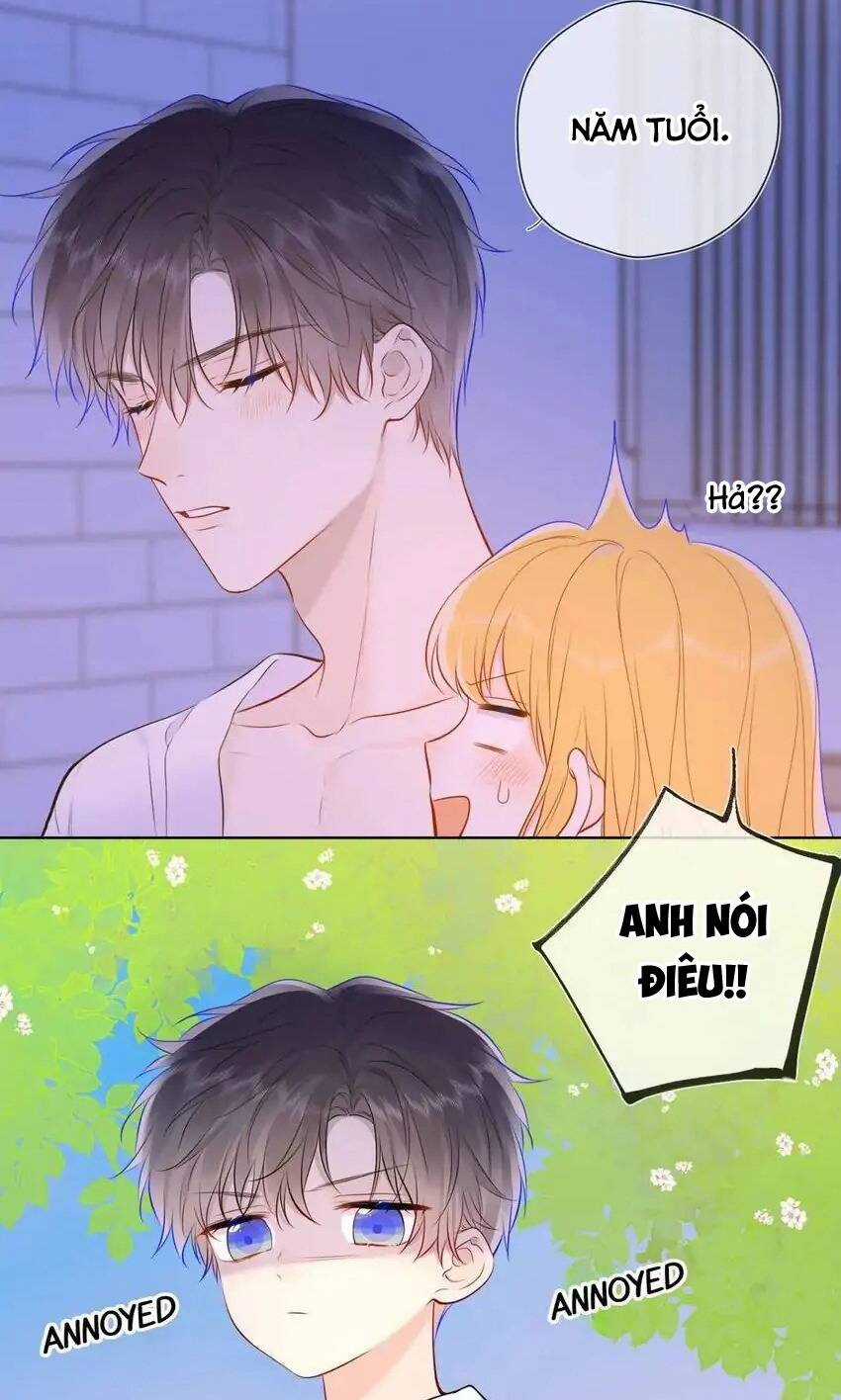 Ngôi Sao Cho Tôi Chapter 138 trang 25